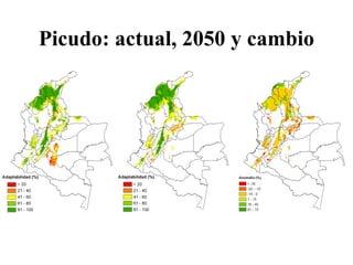 Andy Jarvis Cambio ClimáTico Y Plagas En Colombia