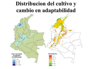 Andy Jarvis Cambio ClimáTico Y Plagas En Colombia