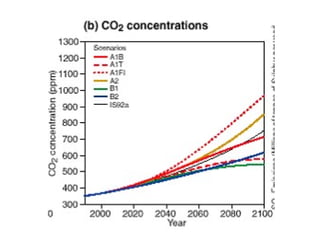 Andy Jarvis Cambio ClimáTico Y Plagas En Colombia