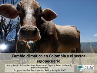 Cambio climático en Colombia y el sector agropecuario Andy Jarvis, Julian Ramirez, Emmanuel Zapata, Peter Laderach, Edward Guevara Program Leader, Decision and Policy Analysis, CIAT 