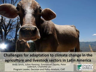 Challenges for adaptation to climate change in the agriculture and livestock sectors in Latin America Andy Jarvis, Julian Ramirez, Emmanuel Zapata, Peter Laderach, Charlotte Lau Program Leader, Decision and Policy Analysis, CIAT 