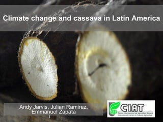 Climate change and cassava in Latin America Andy Jarvis, Julian Ramirez, Emmanuel Zapata 