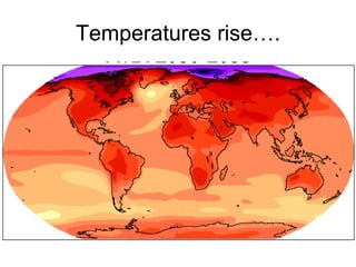 Andy J   Climate Change And Cassava In Latin America July 2009