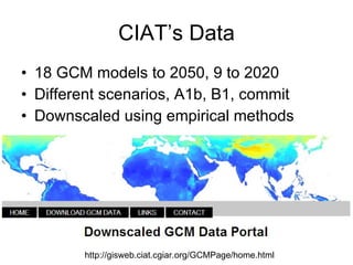 Andy J   Climate Change And Cassava In Latin America July 2009