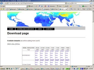 Andy J   Climate Change And Cassava In Latin America July 2009