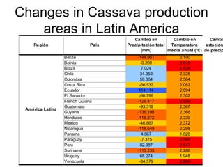 Andy J   Climate Change And Cassava In Latin America July 2009