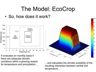 Andy J   Climate Change And Cassava In Latin America July 2009