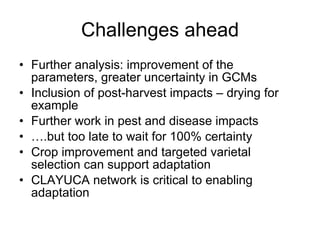 Andy J   Climate Change And Cassava In Latin America July 2009