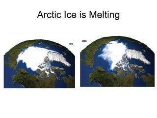 Andy J   Climate Change And Cassava In Latin America July 2009