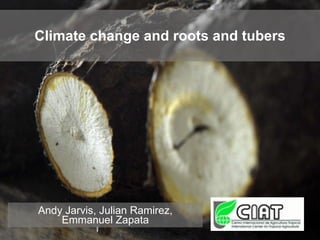 Climate change and roots and tubers Andy Jarvis, Julian Ramirez, Emmanuel Zapata 