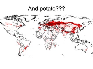 Andy J   Climate Change And Roots And Tubers Nov 2009