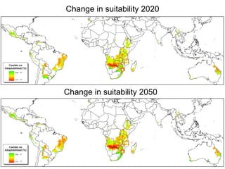 Andy J   Climate Change And Roots And Tubers Nov 2009