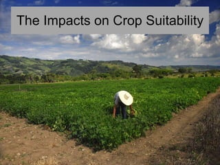 Andy J   Climate Change Models Can Guide Our Adaptation Strategies Supagro Nov 2009