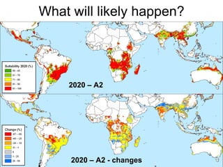 Andy J   Climate Change Models Can Guide Our Adaptation Strategies Supagro Nov 2009
