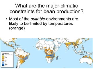 Andy J   Climate Change Models Can Guide Our Adaptation Strategies Supagro Nov 2009