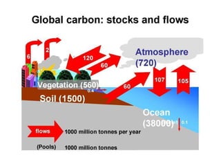 Andy J   Climate Change Models Can Guide Our Adaptation Strategies Supagro Nov 2009