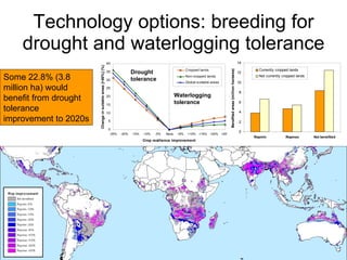 Andy J   Climate Change Models Can Guide Our Adaptation Strategies Supagro Nov 2009