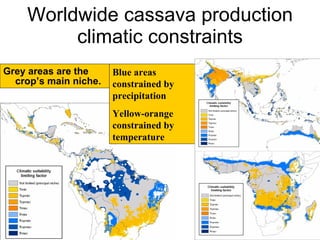 Andy J   Climate Change Models Can Guide Our Adaptation Strategies Supagro Nov 2009