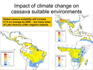 Andy J   Climate Change Models Can Guide Our Adaptation Strategies Supagro Nov 2009