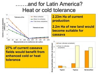 Andy J   Climate Change Models Can Guide Our Adaptation Strategies Supagro Nov 2009
