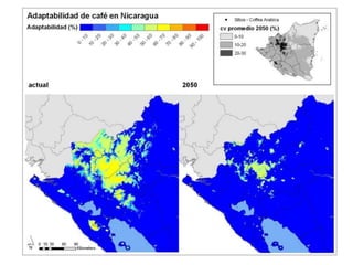 Andy  J    Climate Change Scenarios For  Colombia    Bogota  M I D A S  Sept 2009