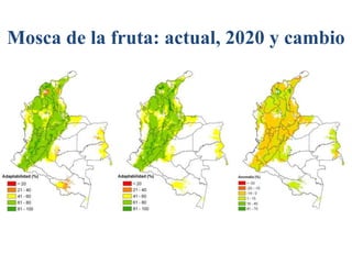 Andy  J    Climate Change Scenarios For  Colombia    Bogota  M I D A S  Sept 2009