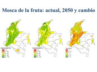 Andy  J    Climate Change Scenarios For  Colombia    Bogota  M I D A S  Sept 2009