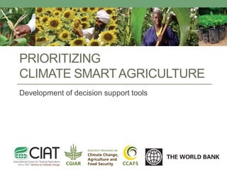 © CIMMYT

© Reuters

© CIAT

PRIORITIZING
CLIMATE SMART AGRICULTURE
Development of decision support tools

 