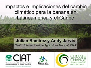 Impactos e implicaciones del cambio climático para la banana en Latinoamérica y el Caribe Julian Ramirez y Andy Jarvis Centro Internacional de Agricultura Tropical, CIAT 