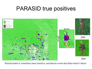 Andy  Jarvis and Louis Reymondin - PARASID  Near Real Time Monitoring Of Deforestation Using A Neural  Aug 2009