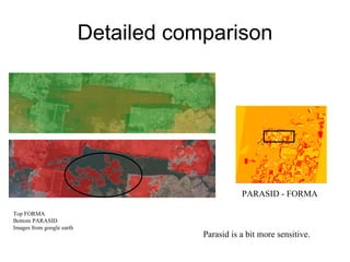 Andy  Jarvis and Louis Reymondin - PARASID  Near Real Time Monitoring Of Deforestation Using A Neural  Aug 2009