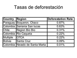 Andy Jarvis - Parasid Near Real Time Monitoring Of Habitat Change Using A Neural Network And Modis Data Ideam Sept 2009