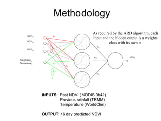 Andy Jarvis - Parasid Near Real Time Monitoring Of Habitat Change Using A Neural Network And Modis Data Ideam Sept 2009