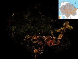 Andy  Jarvis PARASID Near Real Time Monitoring Of Habitat Change Using A Neural Network And  M O D I S Data  T N C  Brown  Bag  Sept 2009