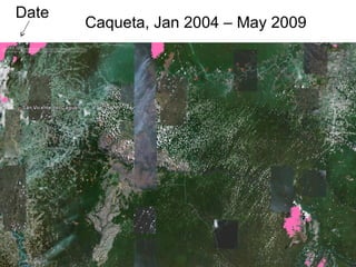 Andy Jarvis Parasid Near Real Time Monitoring Of Habitat Change Using A Neural Network And Modis Data Tnc Science Cabinet Sept 2009