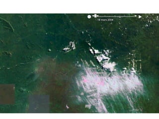 Andy Jarvis Parasid Near Real Time Monitoring Of Habitat Change Using A Neural Netwrok And Modis Data Conida Sept 2009