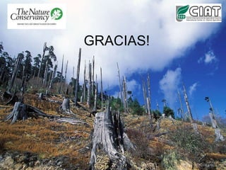 Andy Jarvis Parasid Near Real Time Monitoring Of Habitat Change Using A Neural Netwrok And Modis Data Conida Sept 2009