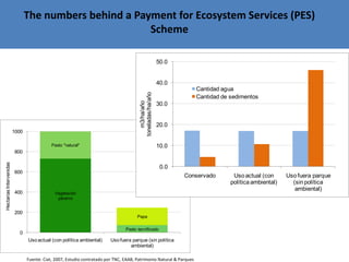 Andy J   Payment For Ecosystem Services (Pes) And Numbers For Negotiation Cocoon Sept 2009