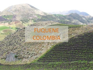 Andy J   Payment For Ecosystem Services (Pes) And Numbers For Negotiation Cocoon Sept 2009