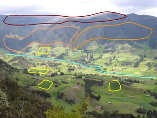 Andy J   Payment For Ecosystem Services (Pes) And Numbers For Negotiation Cocoon Sept 2009