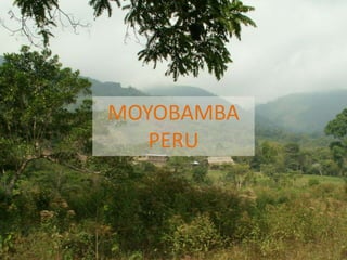 Andy J   Payment For Ecosystem Services (Pes) And Numbers For Negotiation Cocoon Sept 2009