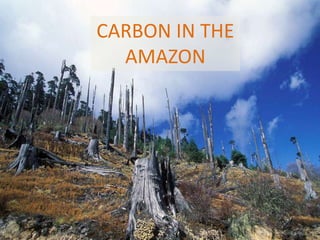 Andy J   Payment For Ecosystem Services (Pes) And Numbers For Negotiation Cocoon Sept 2009