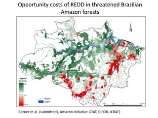 Andy J   Payment For Ecosystem Services (Pes) And Numbers For Negotiation Cocoon Sept 2009