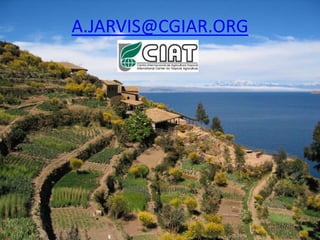 Andy J   Payment For Ecosystem Services (Pes) And Numbers For Negotiation Cocoon Sept 2009