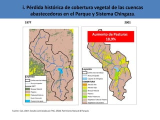 Andy J   Payment For Ecosystem Services (Pes) And Numbers For Negotiation Cocoon Sept 2009
