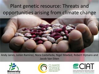 © Neil Palmer (CIAT) Plant genetic resource: Threats and opportunities arising from climate change Andy Jarvis, Julián Ramírez, Nora Castañeda, Nigel Maxted, Robert Hijmans and Jacob Van Etten  