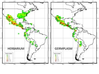 Andy J   Value Of A Coordinate Montpellier Nov 2009