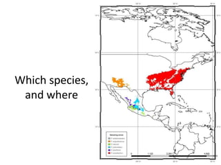 Andy J   Value Of A Coordinate Montpellier Nov 2009