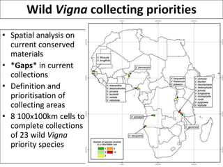 Andy J   Value Of A Coordinate Montpellier Nov 2009