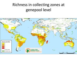 Andy J   Value Of A Coordinate Montpellier Nov 2009